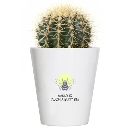 Personalised Flowers & Plant Pot - Busy Bee