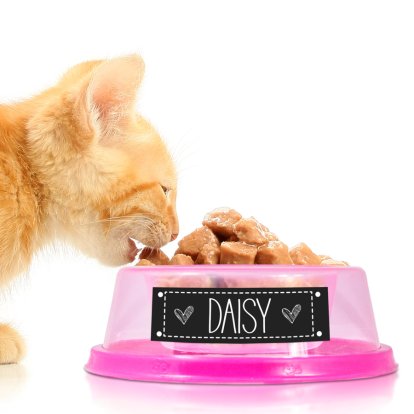 Personalised Large Non-Slip Pink Cat Bowl 