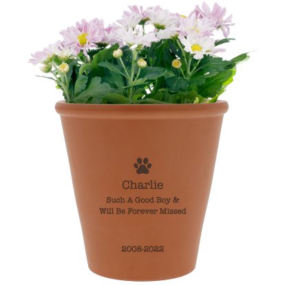 Personalised Paw Terracotta Pot for Pets