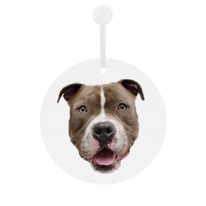 Personalised Dog Face Hanging Decoration